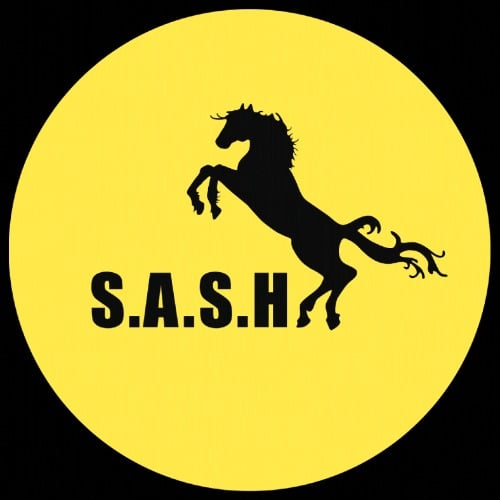 sash-icon