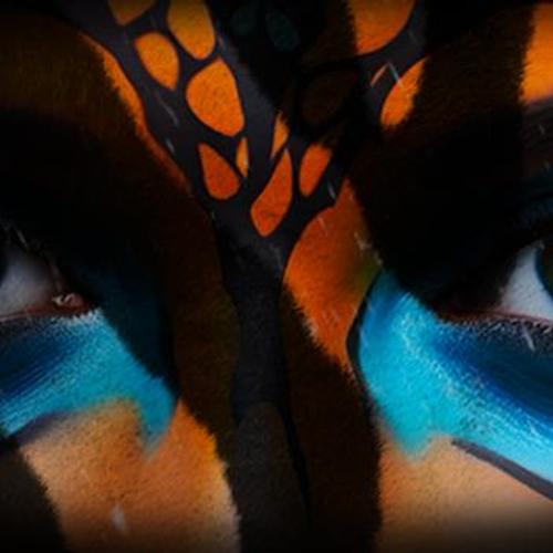 night-safari-1733354286880-logo.jpg