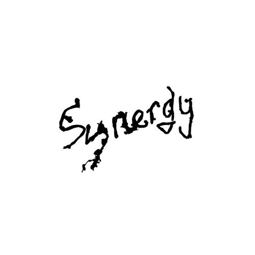 synergy-1749084164361-logo.jpg