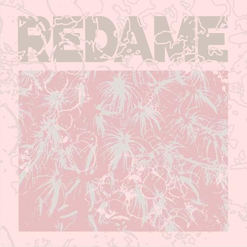 redame-1734316521410-logo.jpg
